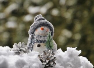 Jak ozdobić półkę?