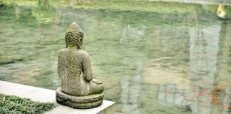 Która instalacją gazową jest lepsza BRC czy Stag?