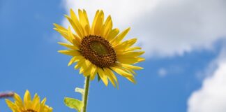 Co powinno znaleźć się w pokoju dziecka?