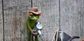 Czy abonament RTV jest przypisany do osoby?