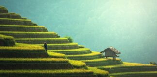 Co na taras bez zadaszenia?