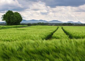 Ile jest kół w tirze?