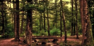 Jak dobrać lustro nad komodę?