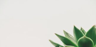 Jakie dekoracje na komodę?